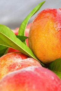 Как приготовить варенье из персиков дольками на зиму: простой рецепт с фото